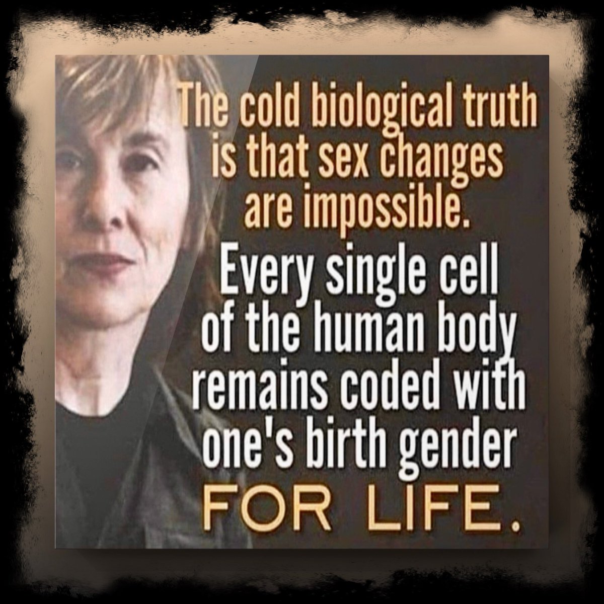 <a href="/DailyMail/">Daily Mail</a>