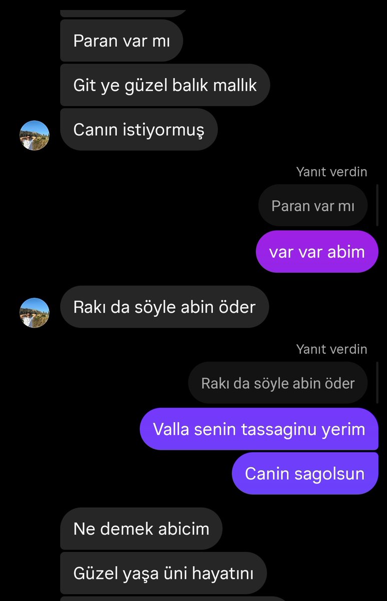 benim sirtim yere gelir mi hic aslan gibi abim var