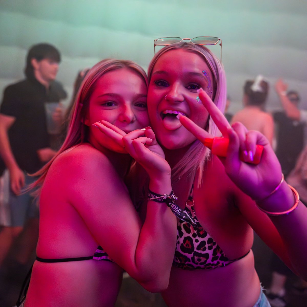 Teddy Rocks Festival tweet media