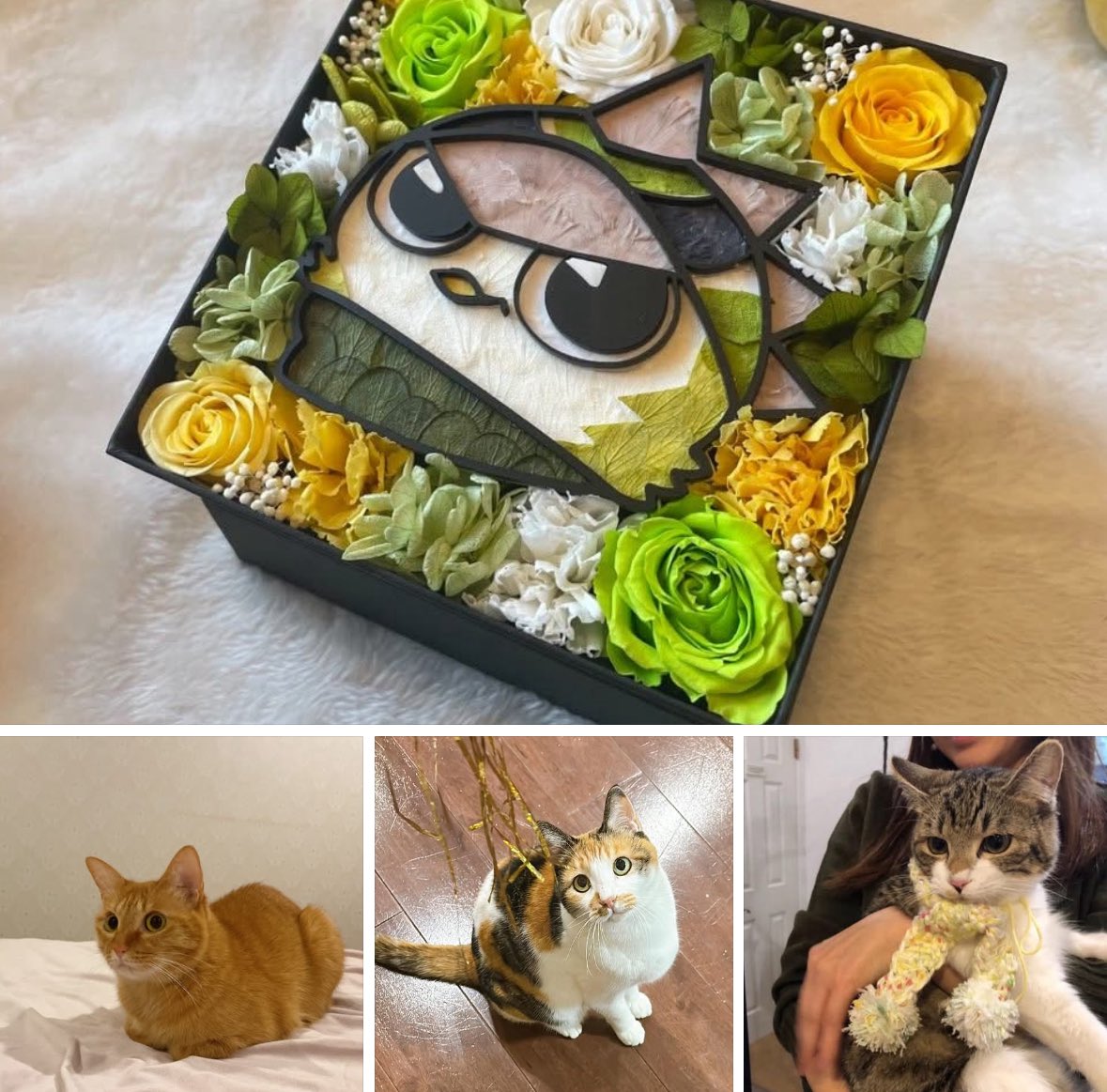 E3%82%B5%E3%83%83%E3%82%AB%E3%83%BC%E3%81%AE%E6%97%A5