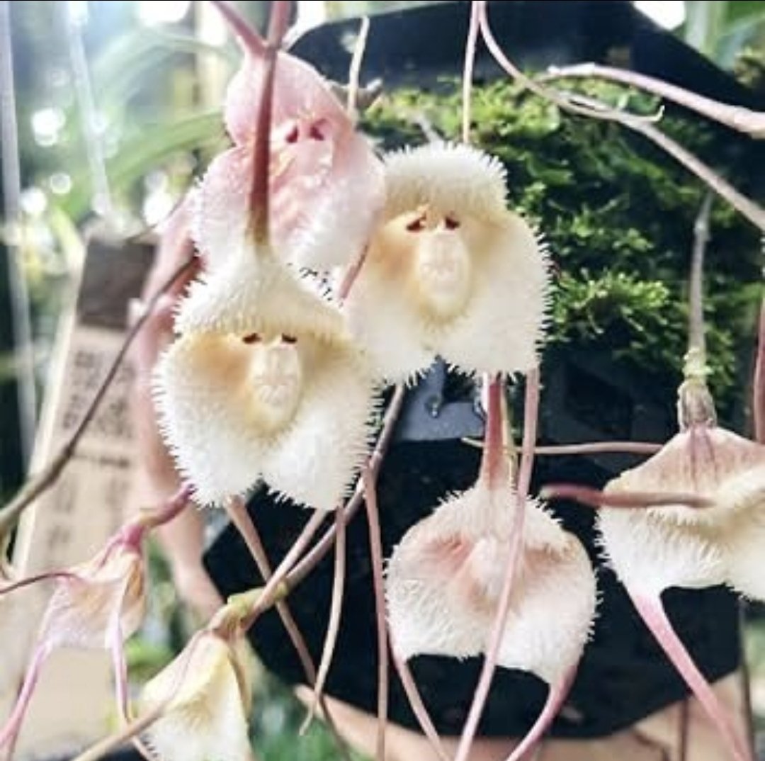 hackb0521's tweet image. 