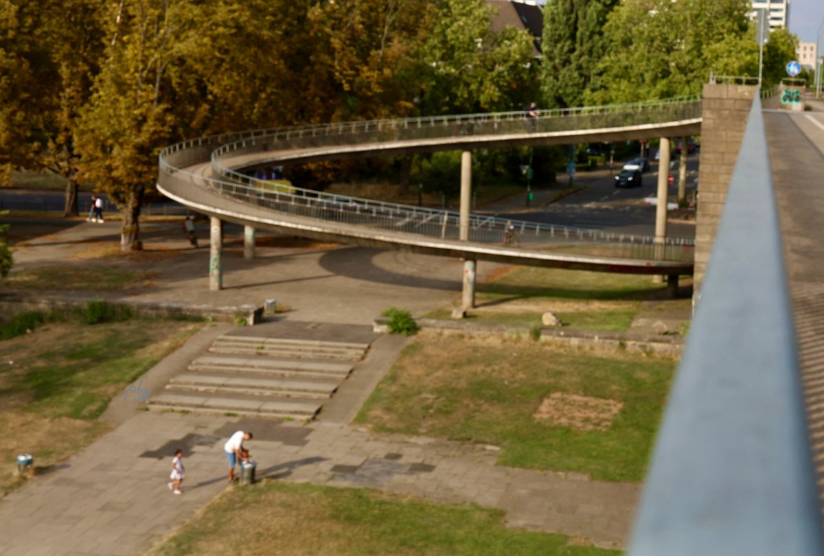 A.couple.of.curiosities tweet media