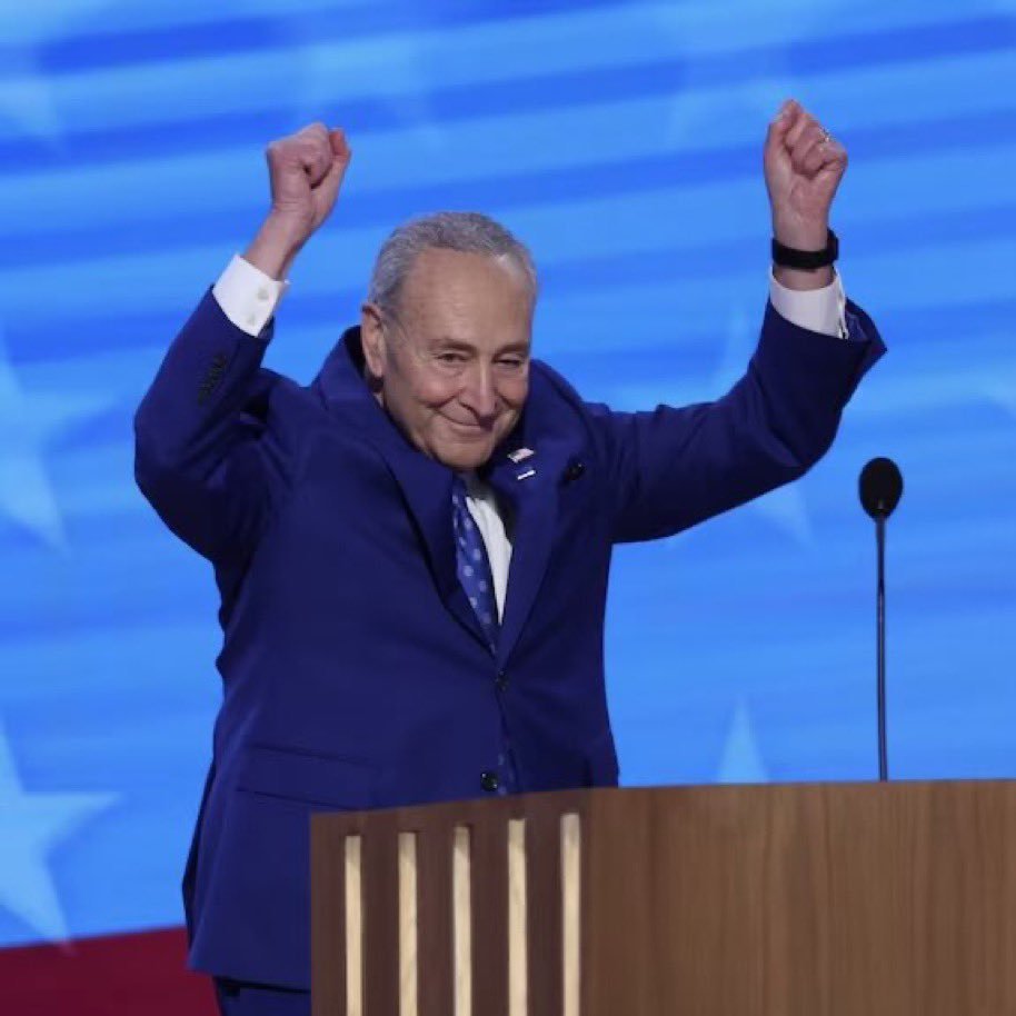 RpsAgainstTrump's tweet image. Describe Chuck Scumer in ONE word