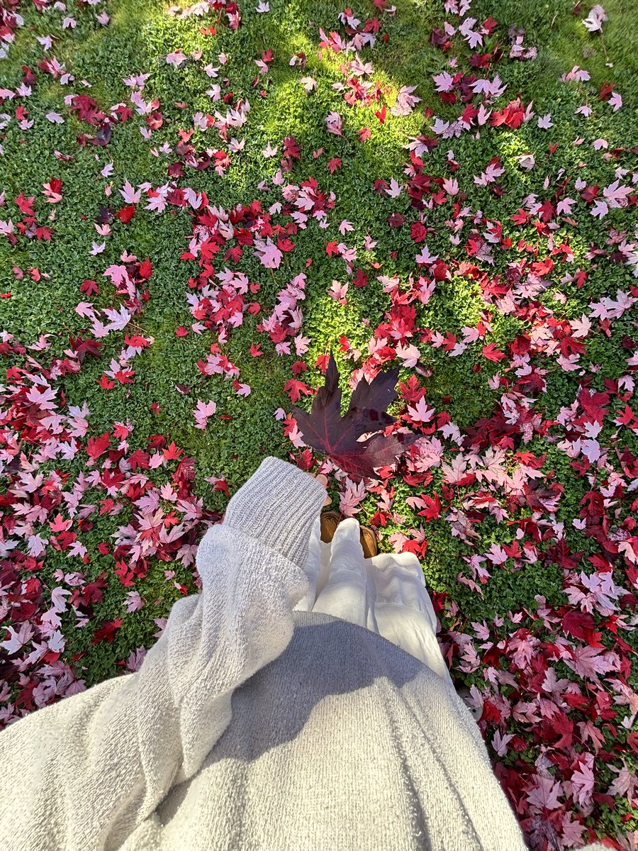 Mia (@toomuchliving) on Twitter photo 