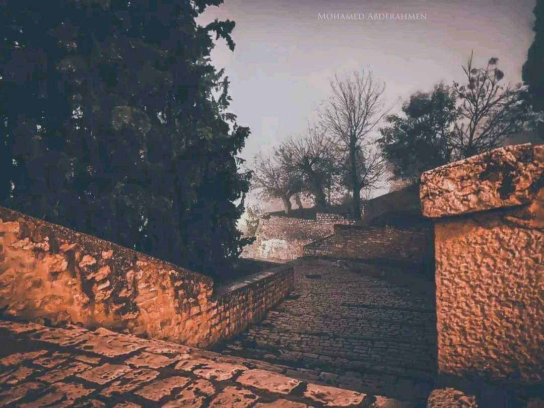 Afrikya Tunisia tweet media