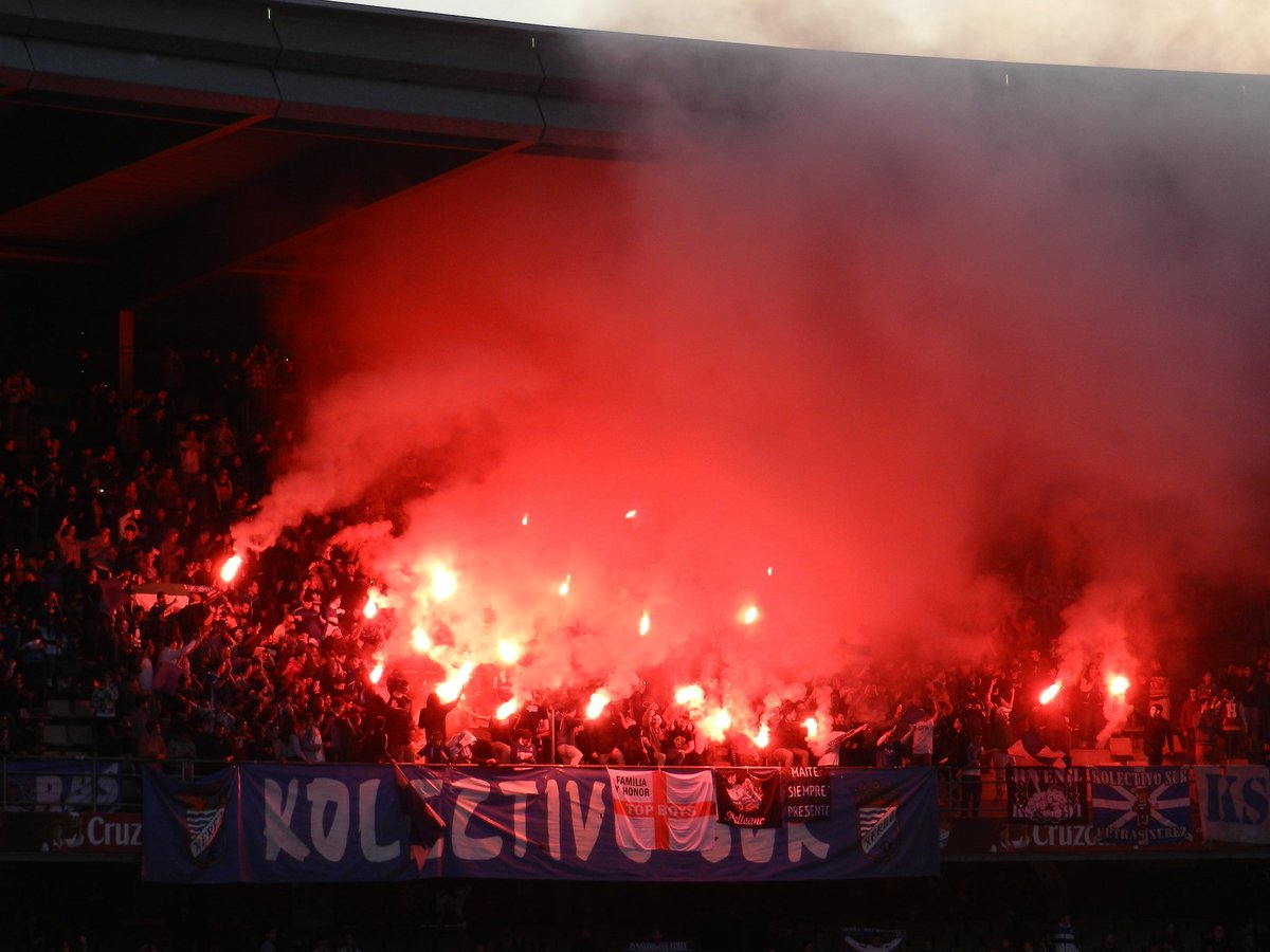 Kolectivo Sur tweet media