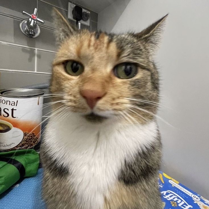 So uh I just got 18 new followers today huh.

Hello new followers