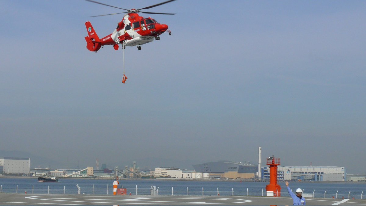 #ドーファンを愛でる会