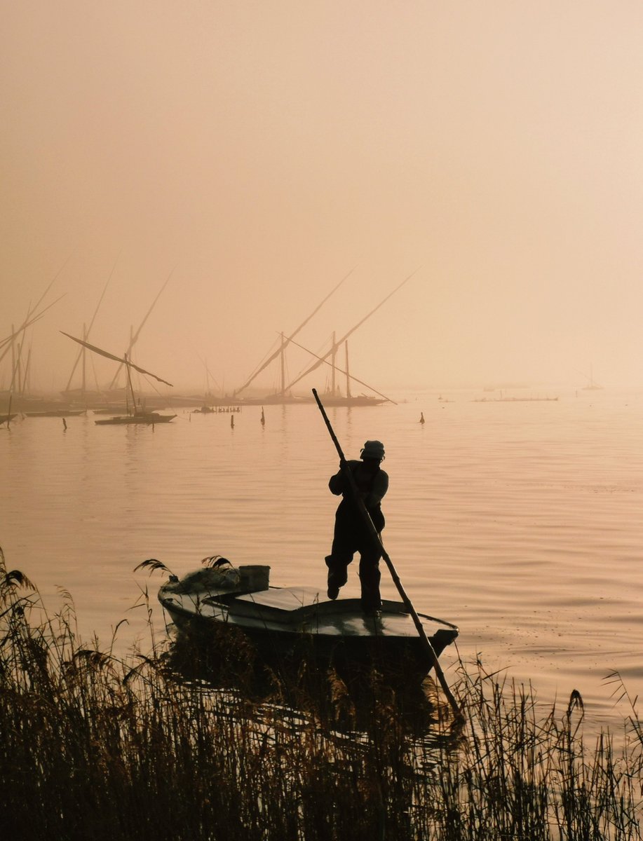 نبيه (@mohamednabih72) on Twitter photo 