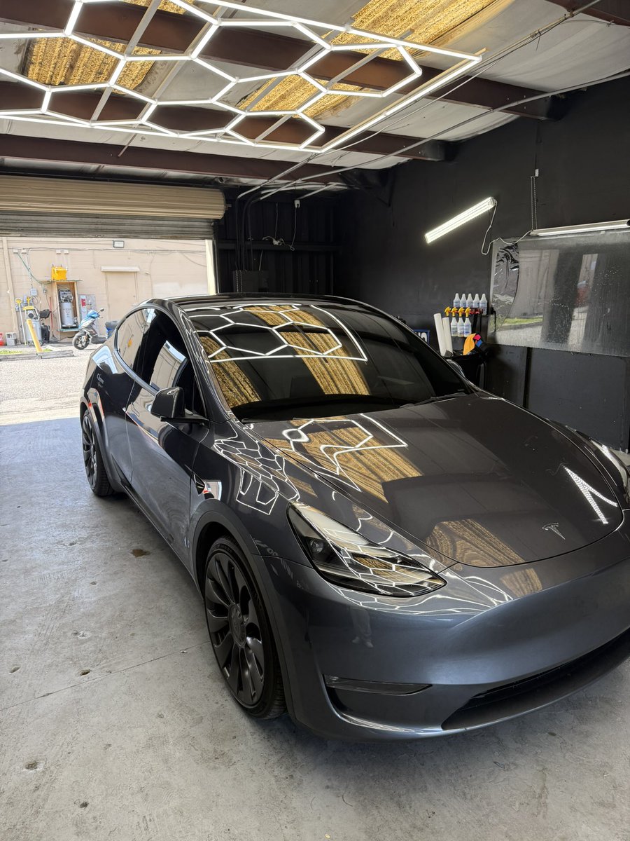 SAV 🦩 tweet media