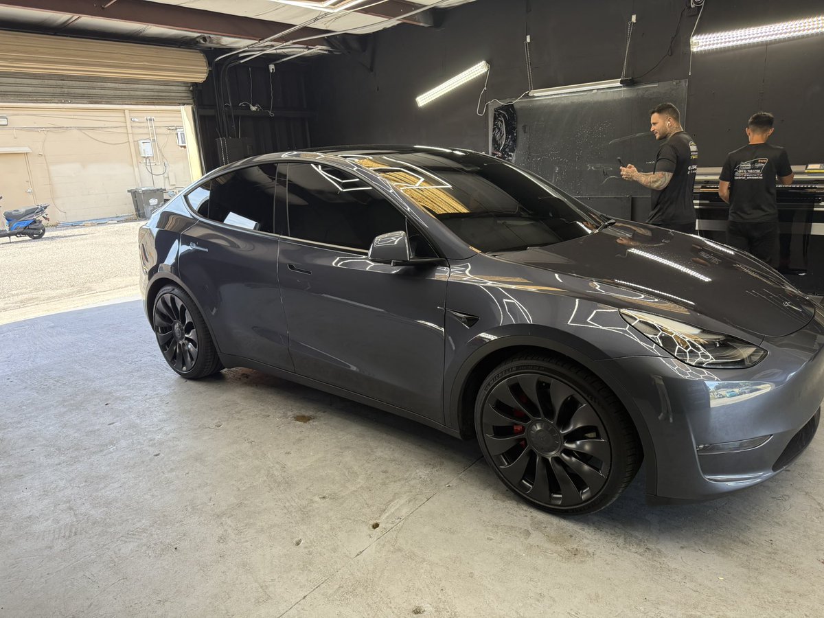 SAV 🦩 tweet media