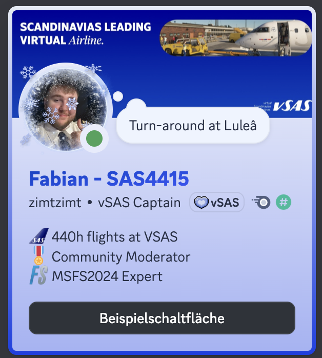 es ist zwar super unnötig, aber ich liebs mein discord profil zu perfektionieren