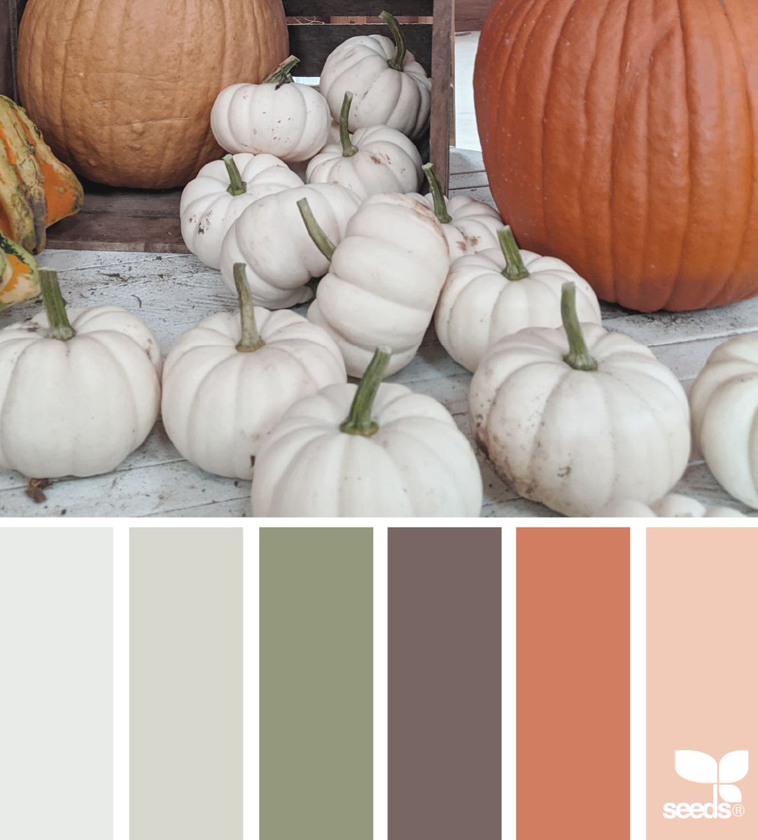 ariverofdesign's tweet image. Harvest Tones via designseeds #autumncolours #colourpalette #colourscheme
