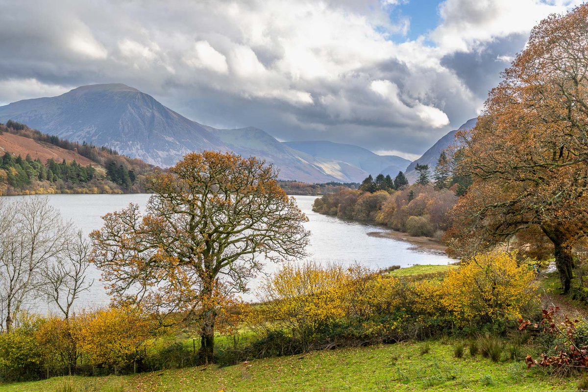 andrewswalks's tweet image. 4 more from my recent walk to Holme Wood and Loweswater, now on my site here:
andrewswalks.co.uk/holme-wood-6.h…