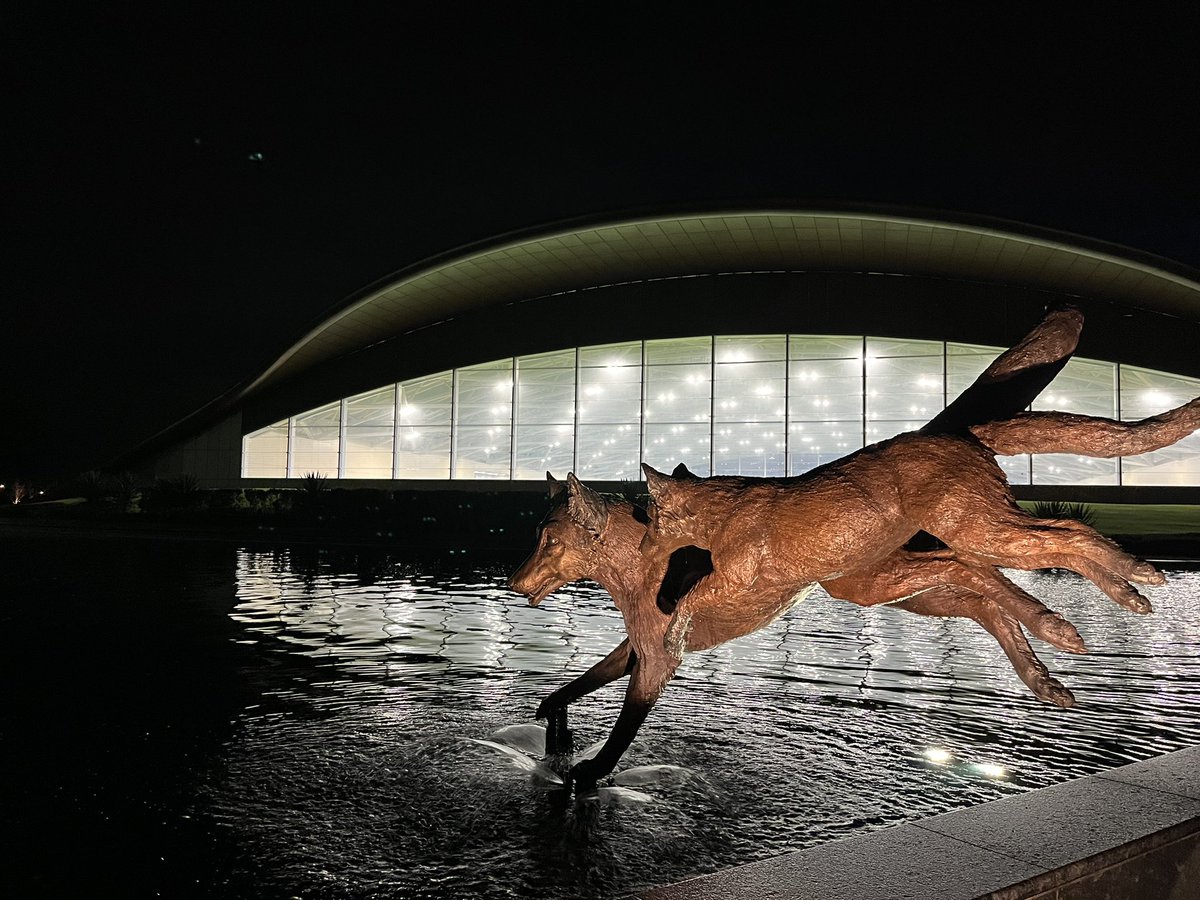 Lee Cosgrove tweet media