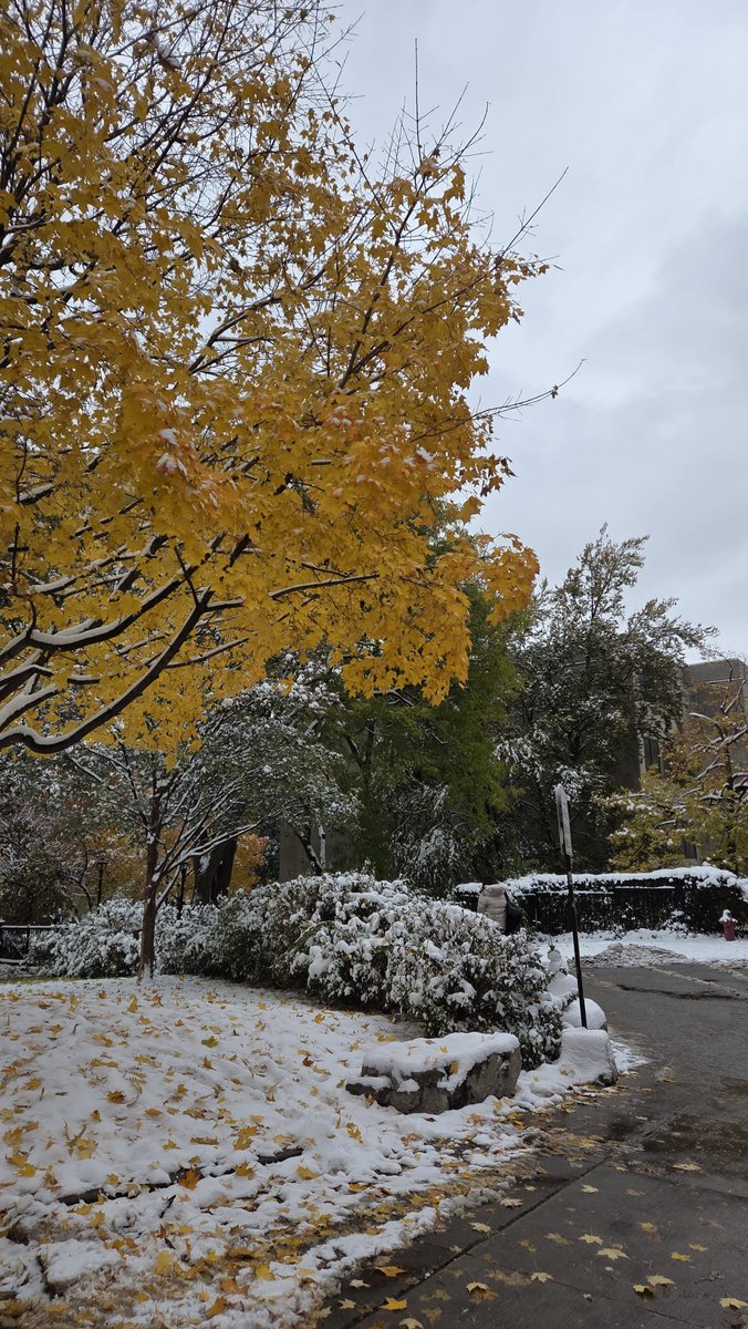 haloakudhira's tweet image. Hi koko toronto, selamat siang 🙂‍↕️ suhunya sekarang berapa derajat? #dafeeds #davids