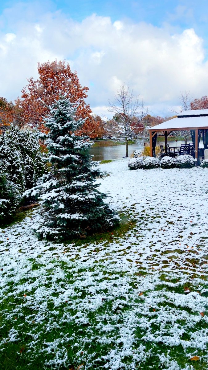 Mari-Anon tweet media