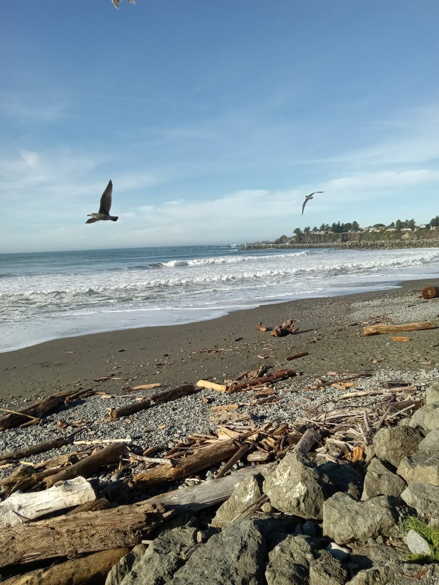budmiller77's tweet photo. Great to be back on La Playa!
You'll never guess where and I will never tell you anyways. 
Best to keep your moves silent these days.🤫 https://t.co/5TbrXuvnrt