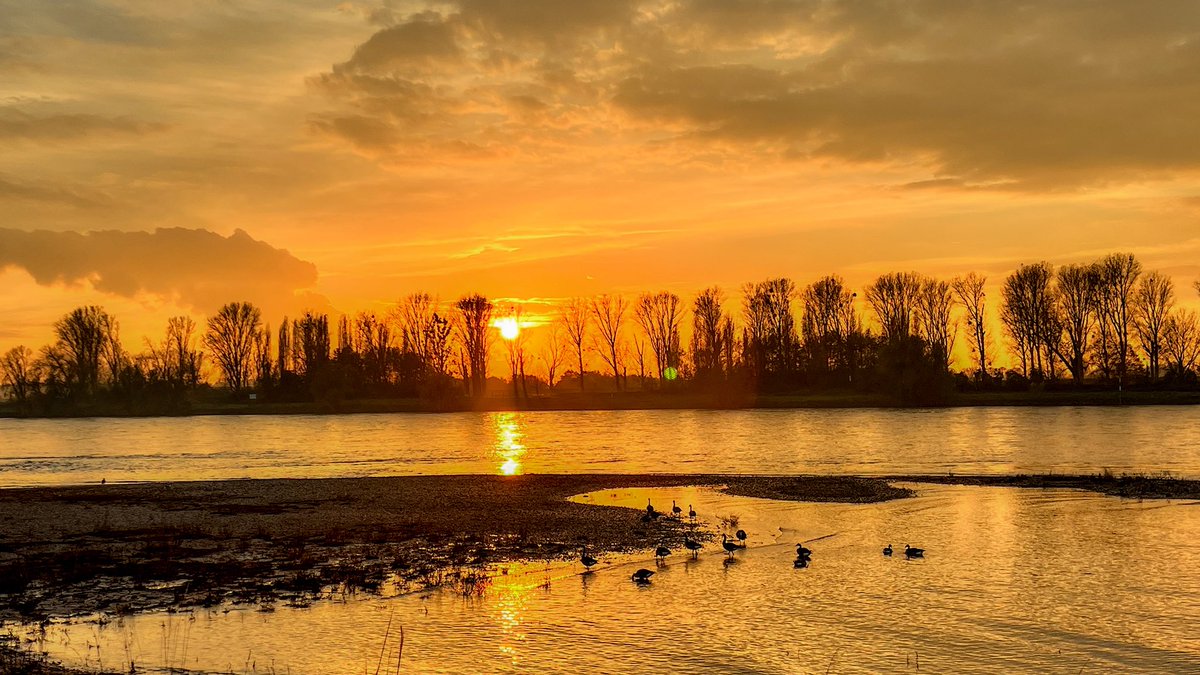 ManouWolff's tweet image. Sunset on the Rhine