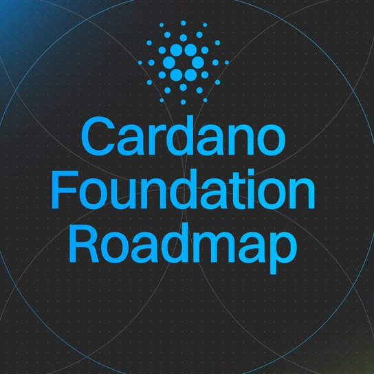 MinswapIntern's tweet image. BREAKING NEWS: 

CARDANO FOUNDATION REVEALS MAJOR ROADMAP UPDATE FOR GLOBAL ADA ADOPTION😱😱😱

A month ago,  @Cardano_CF revealed its major roadmap for global $ADA adoption. 

With a focus on stablecoin liquidity, RWAs, a Venture Hub, and stronger adoption programs, the roadmap…