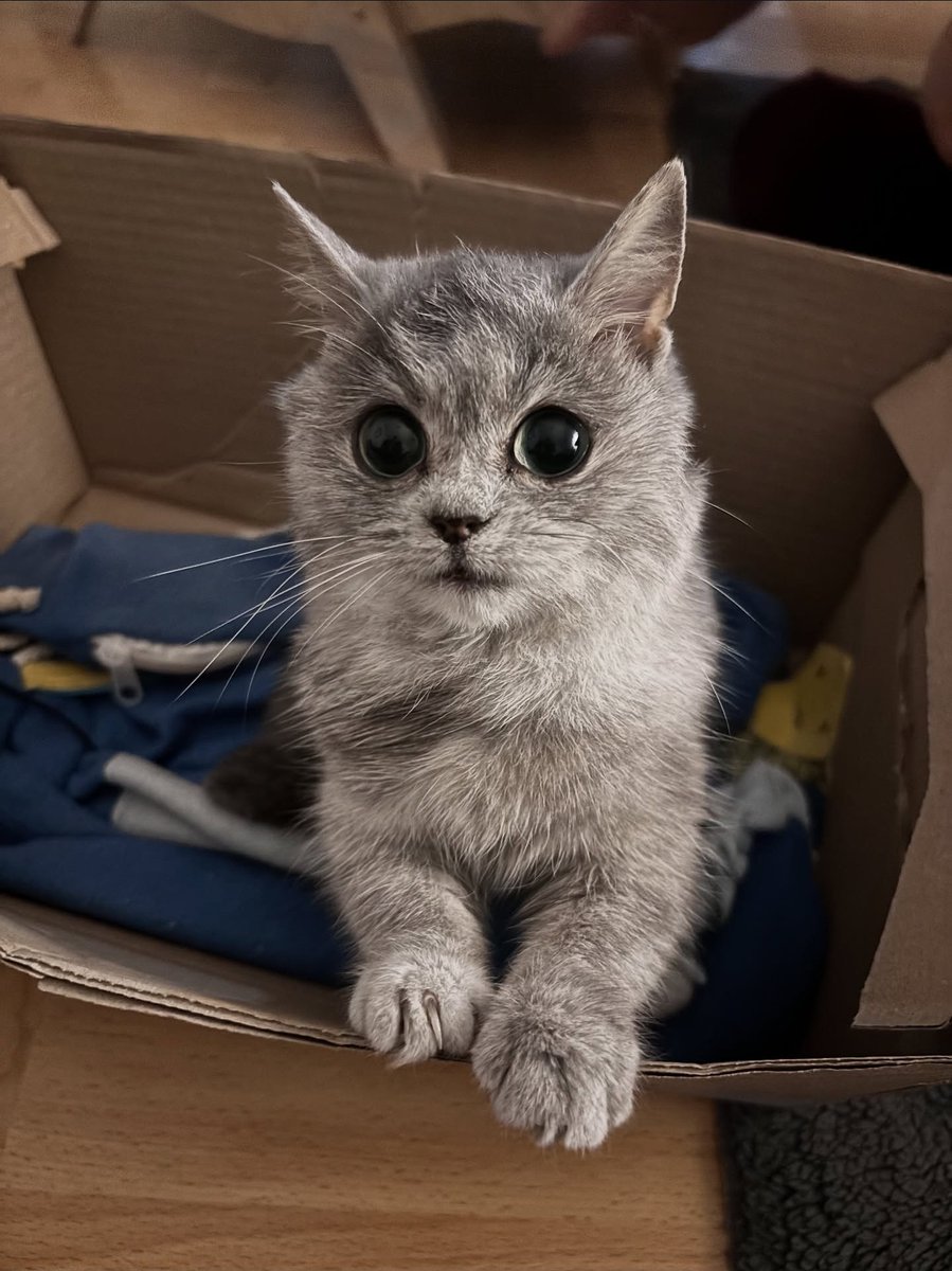 Antidepressant Content tweet media