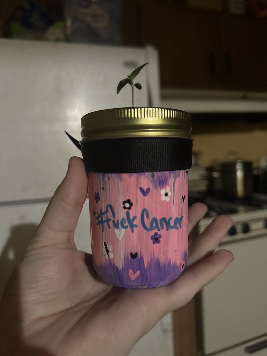 melodygrows's tweet image. #funpotgrow #fuckcancer #getscreened