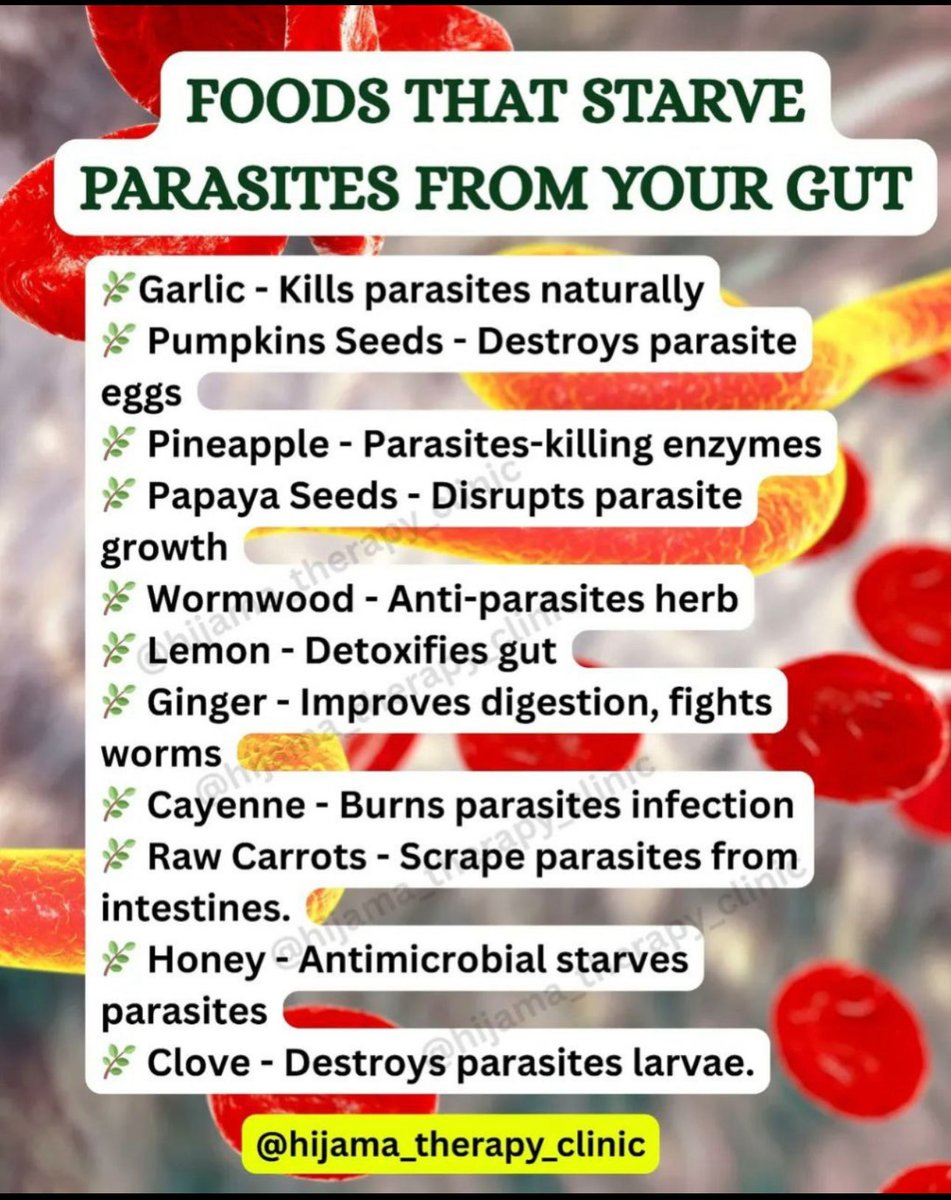 الأطعمة التي تجوع الطفيليات في أمعائك:

الثوم - يقضي على الطفيليات بشكل طبيعي

بذور اليقطين - تُدمّر بيض الطفيليات

الأناناس - إنزيمات قاتلة للطفيليات

بذور البابايا - تُعيق نمو الطفيليات

عشبة الشيح - مُضادة للطفيليات

الليمون - يُنقّي الأمعاء

الزنجبيل - يُحسّن الهضم، ويُحارب