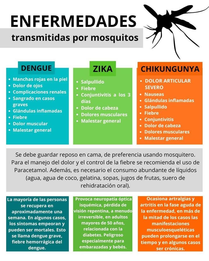 Atentos⤵

En estos tiempos la prevención, higiene y cuidado deben estar presente en cada sitio que habitemos.
Cuidémonos tod@s.
Aquí exponemos las enfermedades transmitidas por mosquitos y como actuar.
<a href="/taniavel76/">Tania Velazquez</a> <a href="/MayraArevich/">Mayra Arevich Marín 🇨🇺</a> <a href="/ETECSAGranma/">Bayamesa2025</a> <a href="/FonsecaOsmely/">Osmely Yudinich Fonseca Rosabal</a> <a href="/YudelkisOrtizB/">Yudelkis Ortiz Barceló</a>