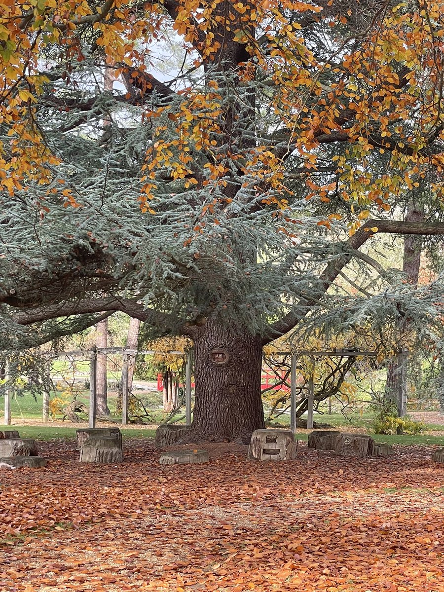 voidnick1's tweet image. SQDesigner Day 6

Happy Monday people.

Days are grey, dark and wet lately but the vibes are up up up