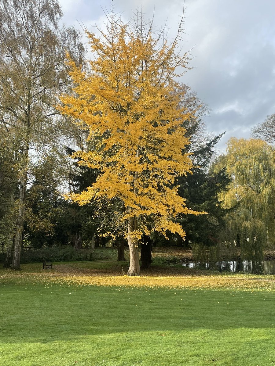 voidnick1's tweet image. SQDesigner Day 6

Happy Monday people.

Days are grey, dark and wet lately but the vibes are up up up