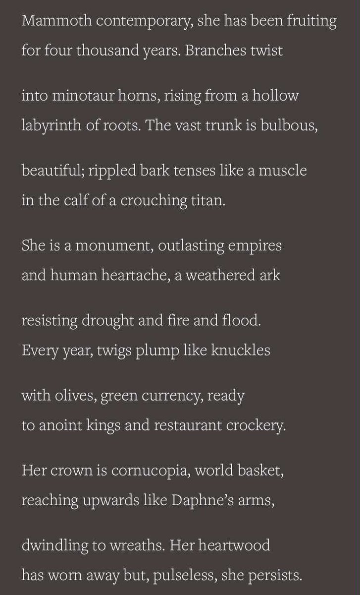 Bex Hainsworth tweet media