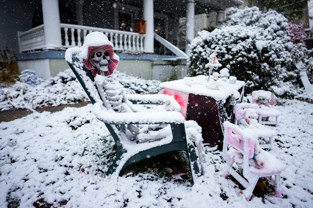 Andrew Dolph tweet media