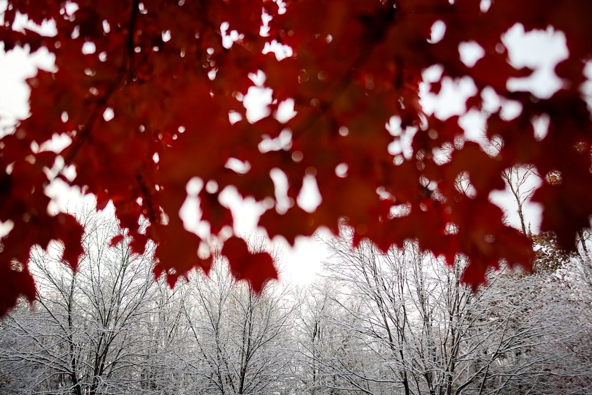 Andrew Dolph tweet media