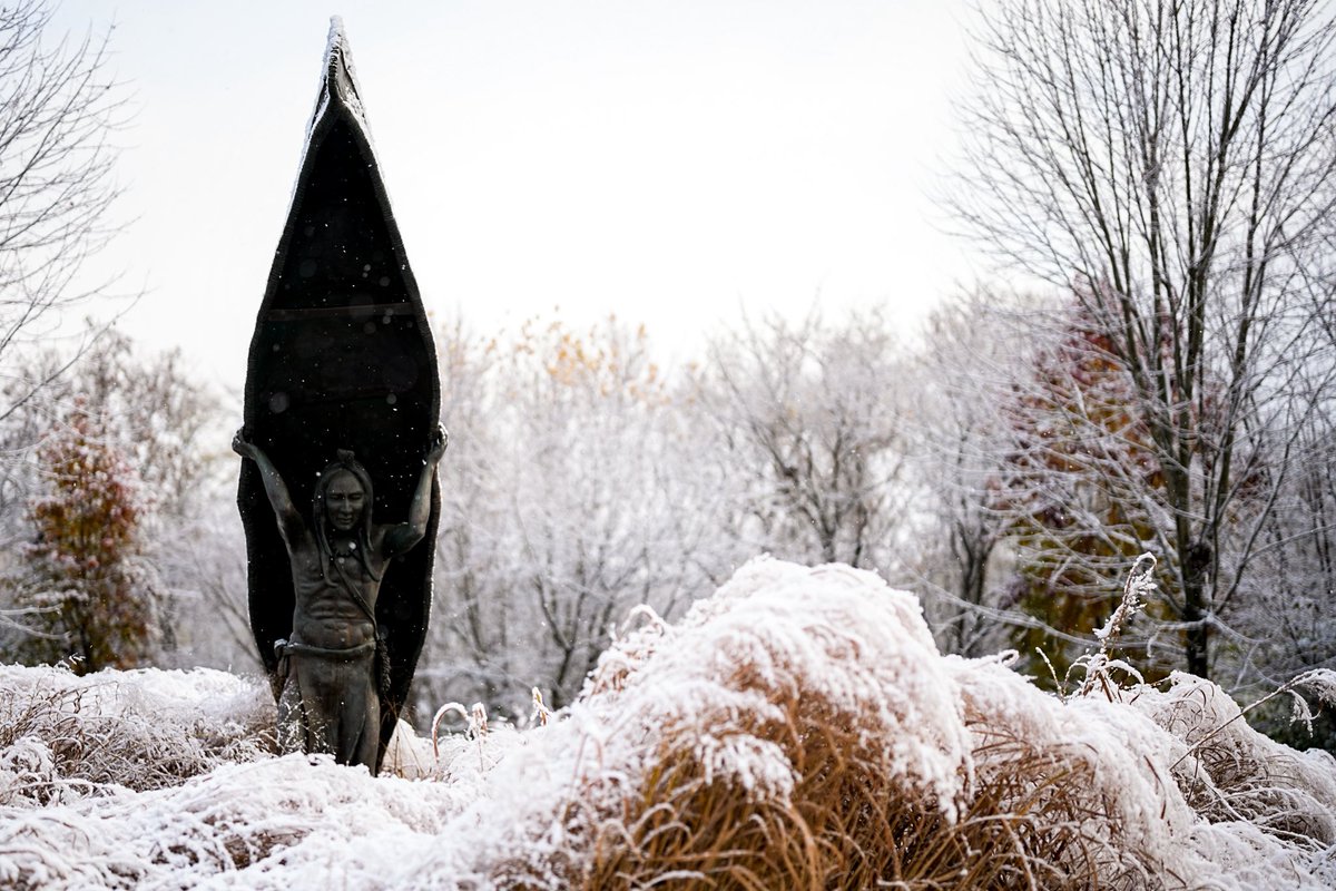 Andrew Dolph tweet media