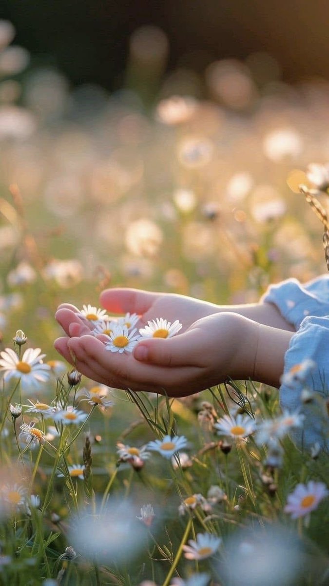 الهدوء الداخلي..
أحيانًا لا تحتاج إلى إجابات... فقط إلى صمتٍ يعيد ترتيبك من الداخل.
الهدوء ليس هروبًا، بل وعيٌ بأن الضجيج الخارجي لا يستحق أن يسرق سلامك.