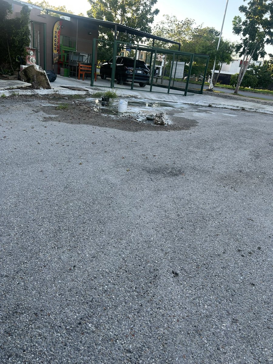 soskeruss's tweet photo. @AyuntaMerida @CeciliaPatronL tres baches en esa calle ya reportados folio 1763893 han hecho caso omiso a esta situación , calle 164 x 166 diagonal en Fracc los héroes https://t.co/reaYJrMq4X