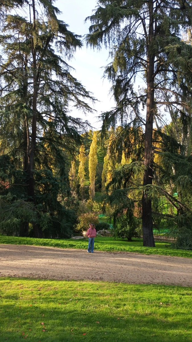 elanarca's tweet image. Y al final del camino, esto es lo único que verdaderamente importa: las personas con las que elegimos envejecer.