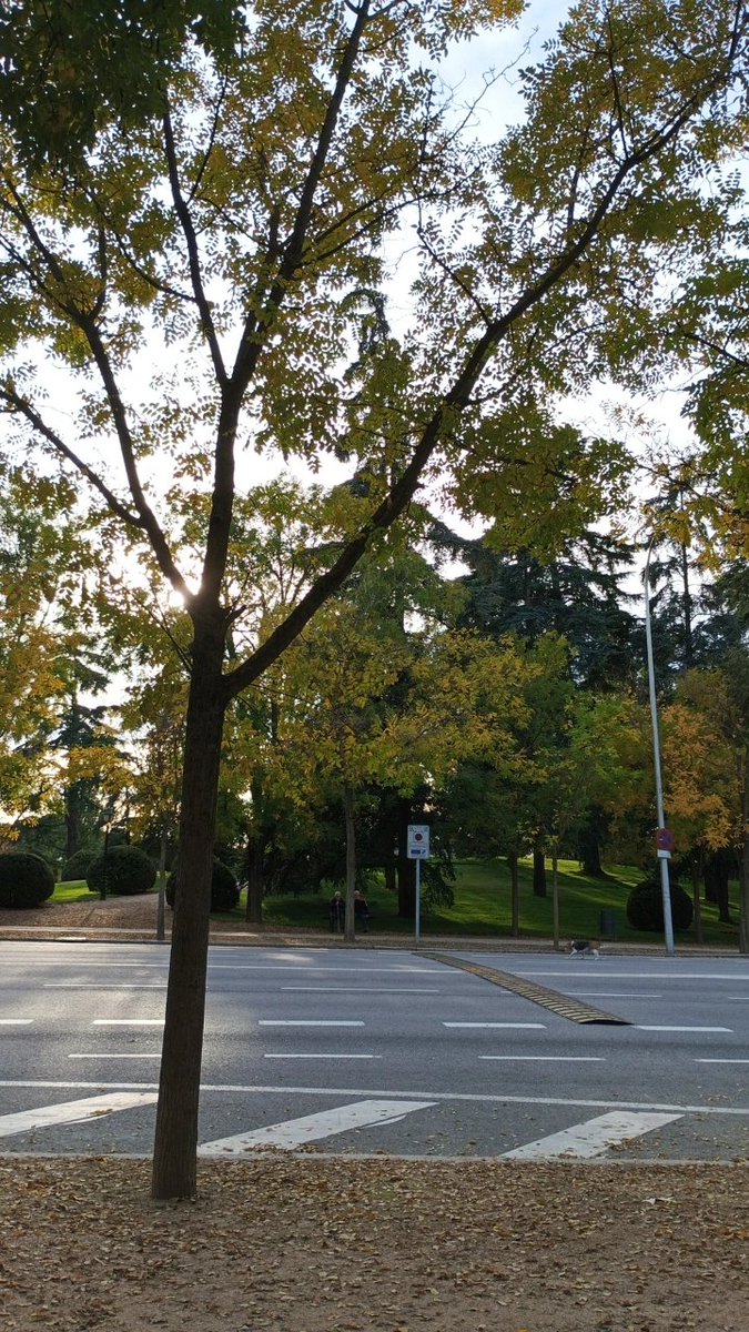 elanarca's tweet image. Y al final del camino, esto es lo único que verdaderamente importa: las personas con las que elegimos envejecer.