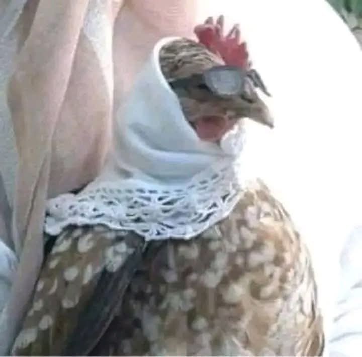 ClubM0M's tweet image. 