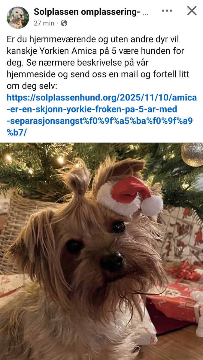 Siri Mietinen Kjellmann tweet media