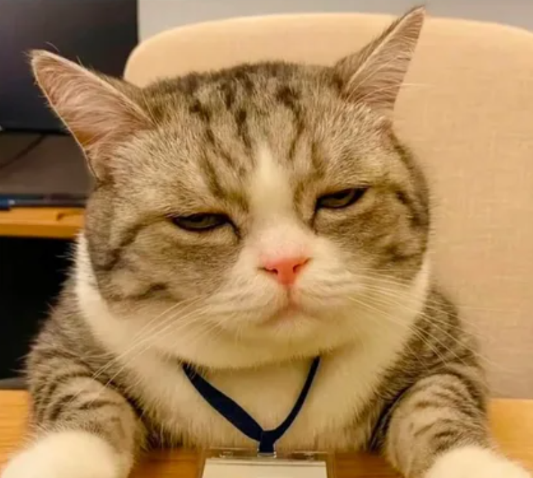 Could have just set alerts on predscreener instead of being terminally online watching markets