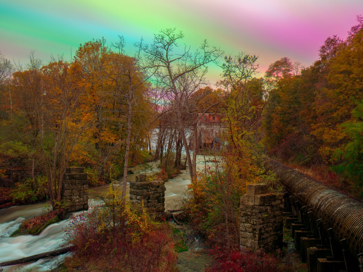 Alon Koppel 📷 tweet media