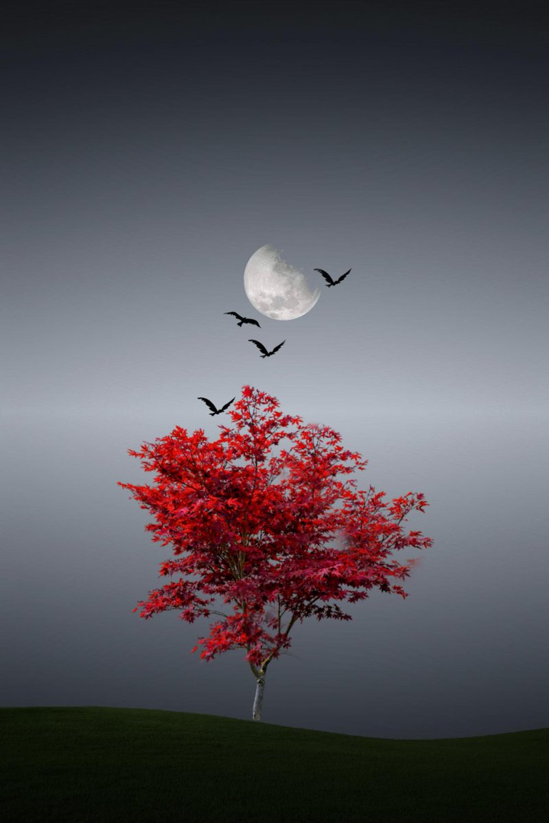 Akruidhof00's tweet image. #FlyBy