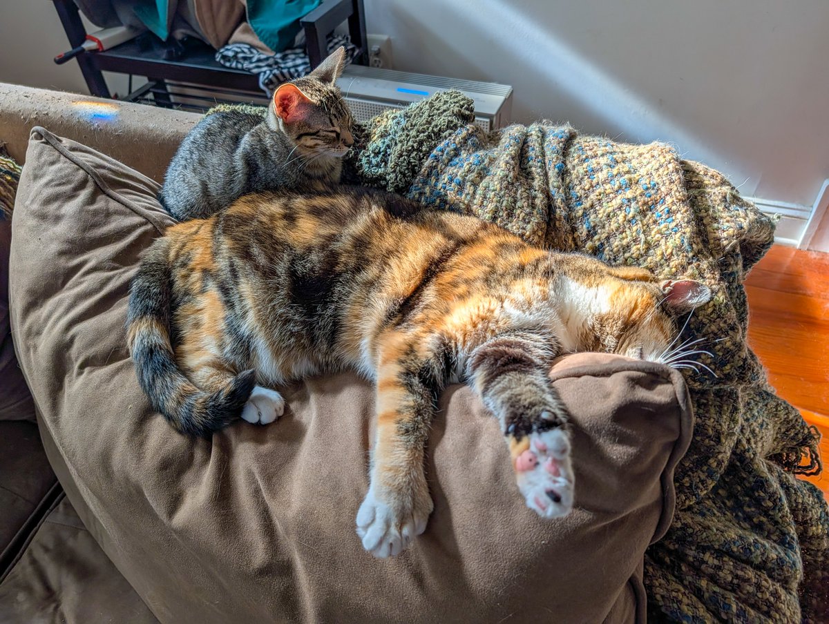 They've only known each other for 24 hours