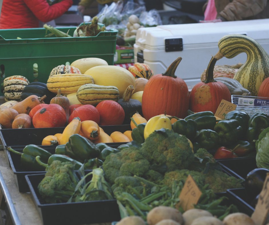CincinnatiOES's tweet photo. APPLY TODAY to the GCP Seeds of Change Urban Agriculture Grants!

Learn more and apply today: https://t.co/FMG7eVQyyO https://t.co/8xXmASz6OE