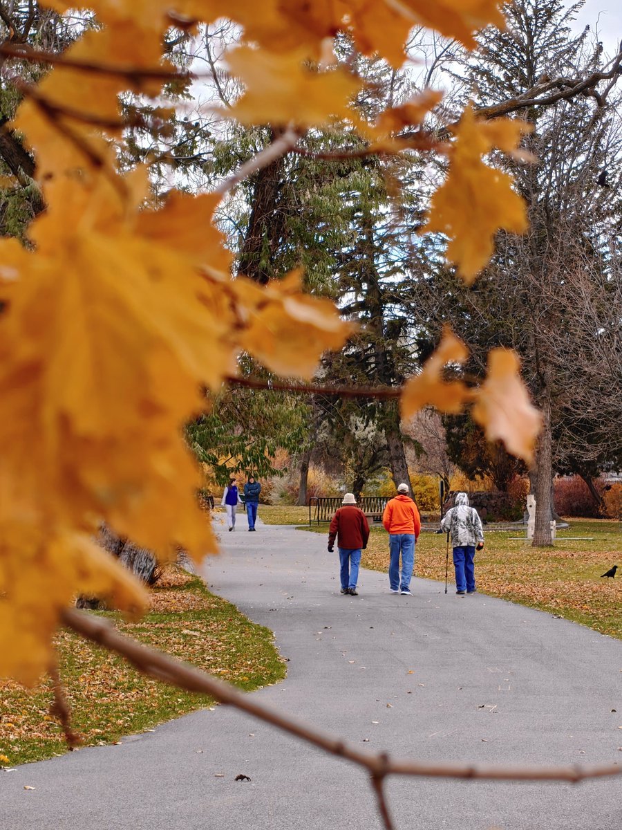fahim_al_mahmud's tweet image. Last glimpse of Fall 🍂 

Shot on OnePlus 13 powered by @Snapdragon 📸

#NatureNovember #ShotOnSnapdragon #ShotOnOnePlus