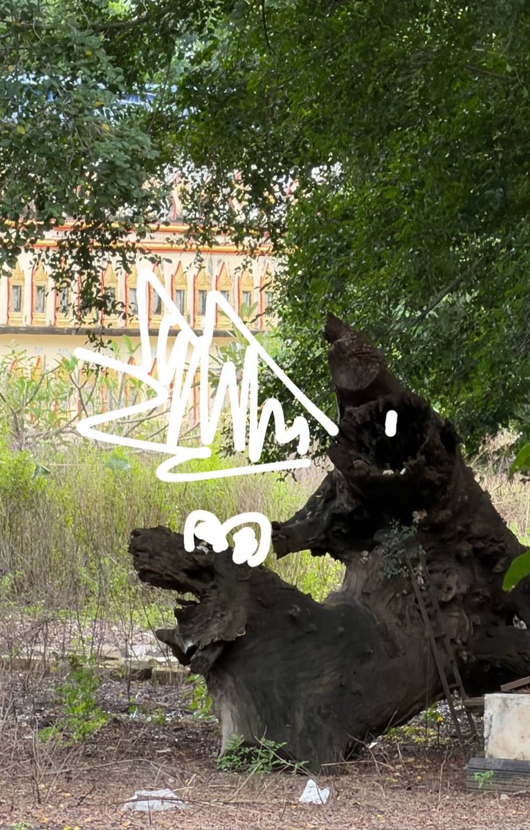 Swee_fkt's tweet image. Hmm👀

#FirstKhaotung #เฟิร์สข้าวตัง