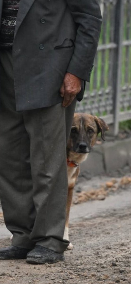 fotoğrafın detaylarının güzelliği...
