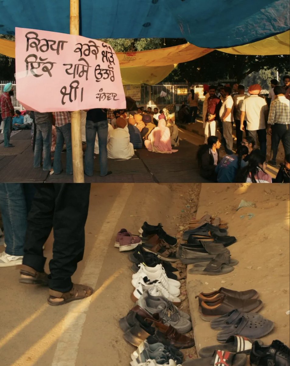 sd_notification's tweet image. Save Panjab University