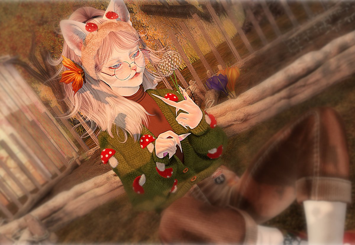 カビ・・・・・・・・
かびぃ～～～～ん！！！🙀
側に居た友達が「何、カビ生やしてるん？ｗ」と向こうの方で喋ってるから（カビじゃねぇ～し、、タンポポの種だし😒）とスルーしながらTakeしても種が0個だった。。😩後からﾛｰｶﾙﾁｬｯﾄを翻訳したら。。。